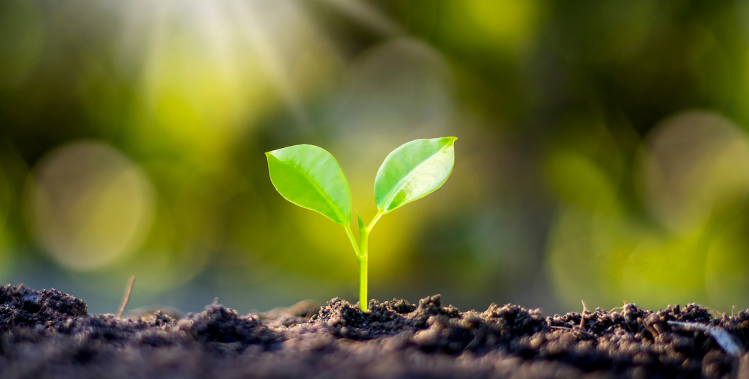 How DSL are shrinking the SME funding gap