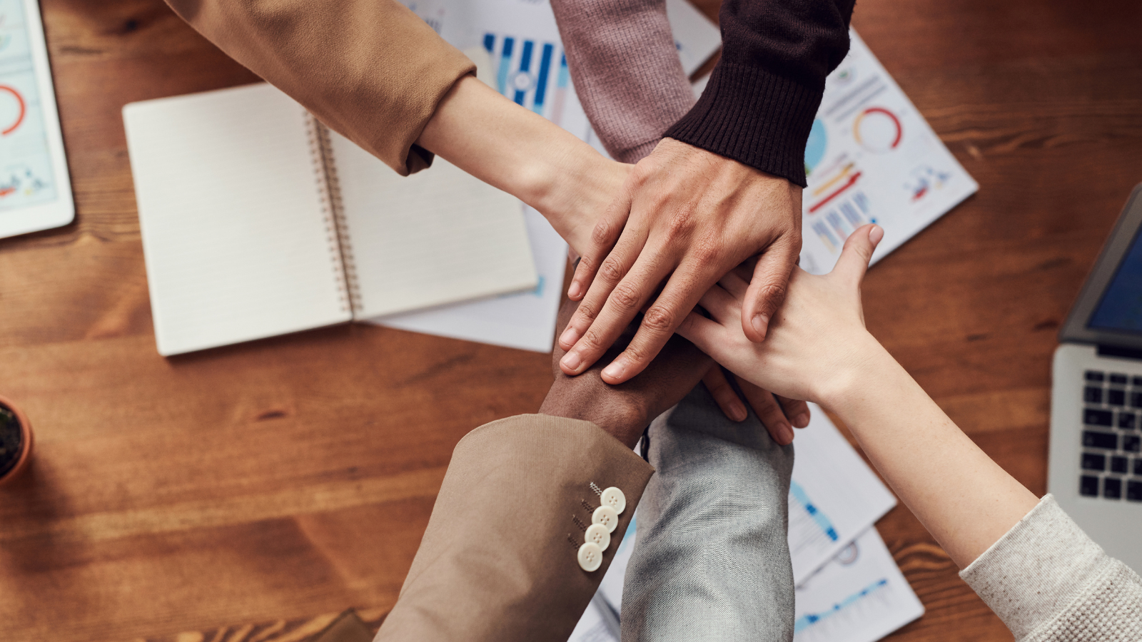 Shining a Light on Our Just Enterprise Partners